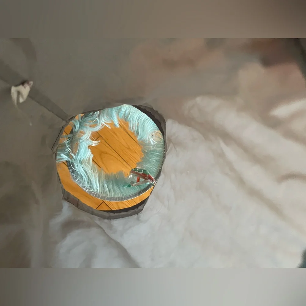 Cat tunnel toy